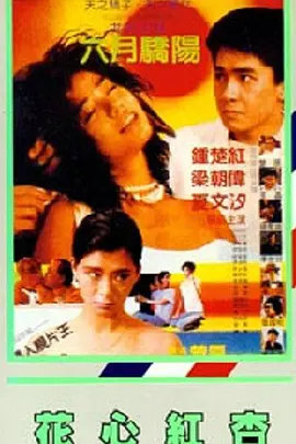 pornhub中文网在线